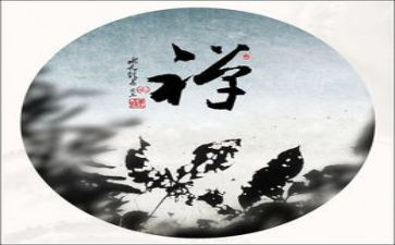 《禅》观后感模板8篇