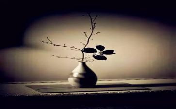 《禅》观后感5篇