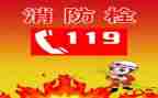 幼儿园119主题活动方案精选7篇