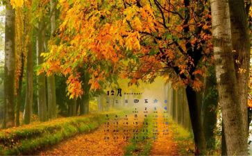 幼儿12月计划5篇