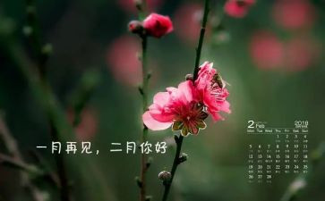 2月的工作总结优秀5篇