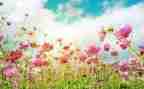 2024年3月安全生产工作总结推荐7篇