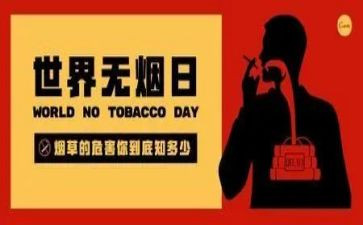 教师531培训总结推荐7篇