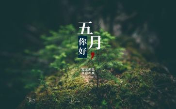 5月教师个人总结5篇