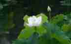 6月儿童节活动方案8篇