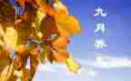 幼儿园20249月工作总结参考8篇