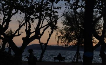 成功的彼岸作文7篇