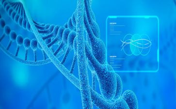 生物教师个人总结工作总结7篇