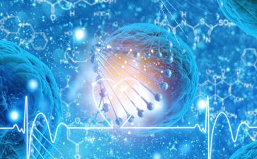 生物教师个人总结工作总结精选7篇