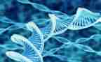 初一生物下学期工作总结8篇