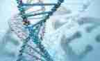 生物实验培训心得8篇