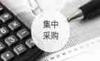 采购组的述职报告6篇