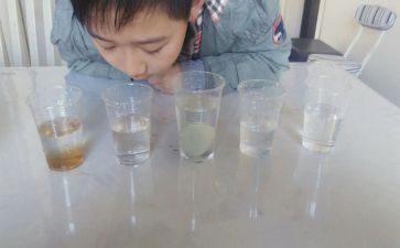 沉浮教案7篇
