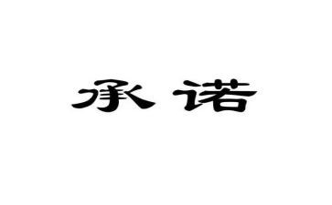 2024消防安全承诺书模板8篇