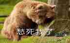 乡愁作文优质7篇