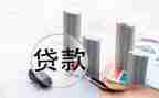 贷款公司客服工作总结8篇