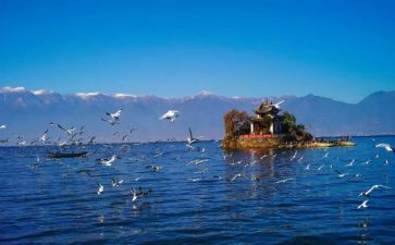 游大理的作文8篇