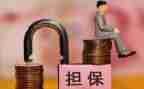 个人购房借款及担保合同5篇