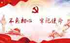 党述职报告精选5篇
