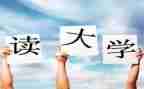 军训心得体会300字大一心得5篇