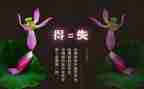 得与失的作文800字8篇
