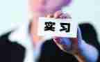 毕业顶岗月工作总结7篇