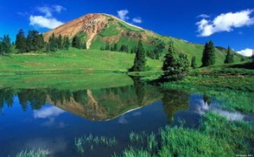 定格画面作文600字作文参考6篇