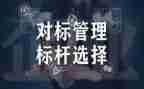 对标年终述职报告6篇