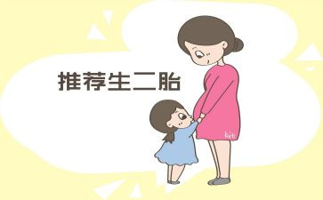 第二胎申请书精选6篇
