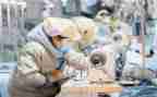 2024年企业复产复工工作总结8篇