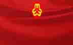 妇联述职报告优质5篇