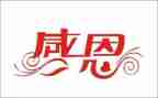 感恩节系列活动总结5篇