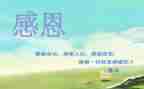 以感恩的心得体会精选5篇