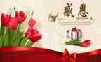 感恩老师精彩的演讲稿7篇