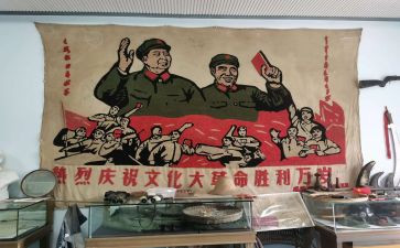 《辛亥革命》心得体会5篇