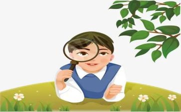 幼儿观察类活动方案5篇