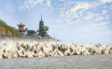 观潮的的读后感7篇