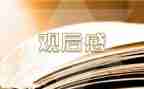 筑梦路上观后感5篇
