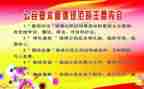 对标规范工作总结模板5篇