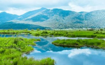 关于保环境的演讲稿8篇