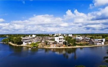 关于保环境的演讲稿推荐5篇