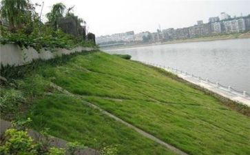 关于保环境的演讲稿优质7篇