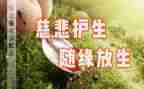 保护生态的演讲稿5篇