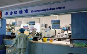 检验室工作总结推荐6篇