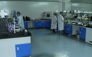 检验室年度工作计划6篇