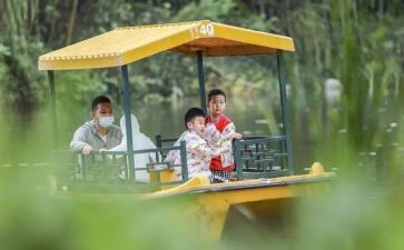 小学音乐《郊游》教学反思6篇