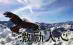 激励高三学生演讲稿6篇