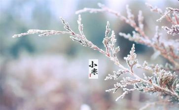 节气教案参考7篇