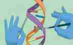 中班科学类活动教案参考5篇