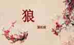 《狼》的读后感300字通用7篇
